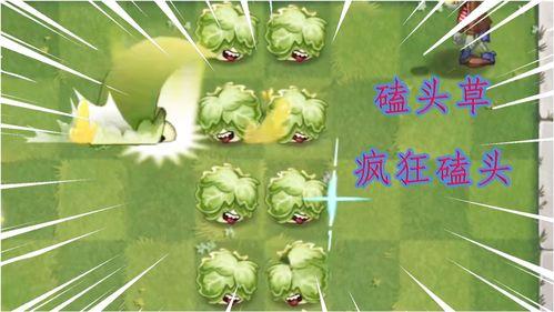 最新 植物爆料视频,神秘植物视频曝光，带你探索未知生命奥秘
